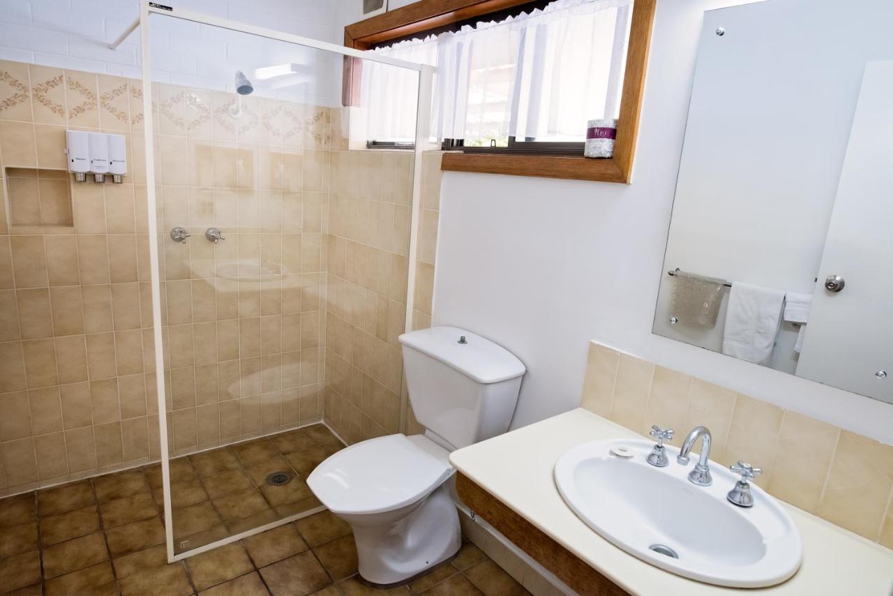 Elm Court Motel Άλμπουρι Εξωτερικό φωτογραφία