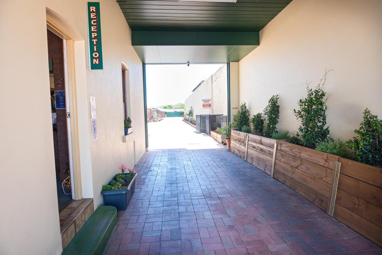Elm Court Motel Άλμπουρι Εξωτερικό φωτογραφία