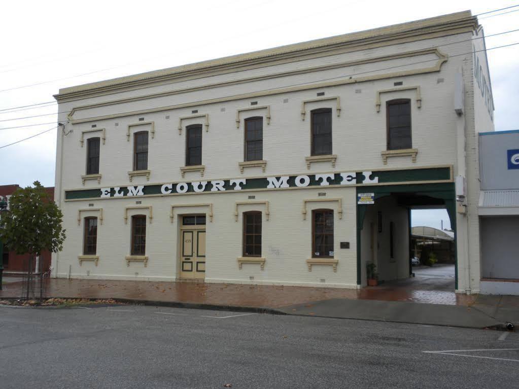 Elm Court Motel Άλμπουρι Εξωτερικό φωτογραφία