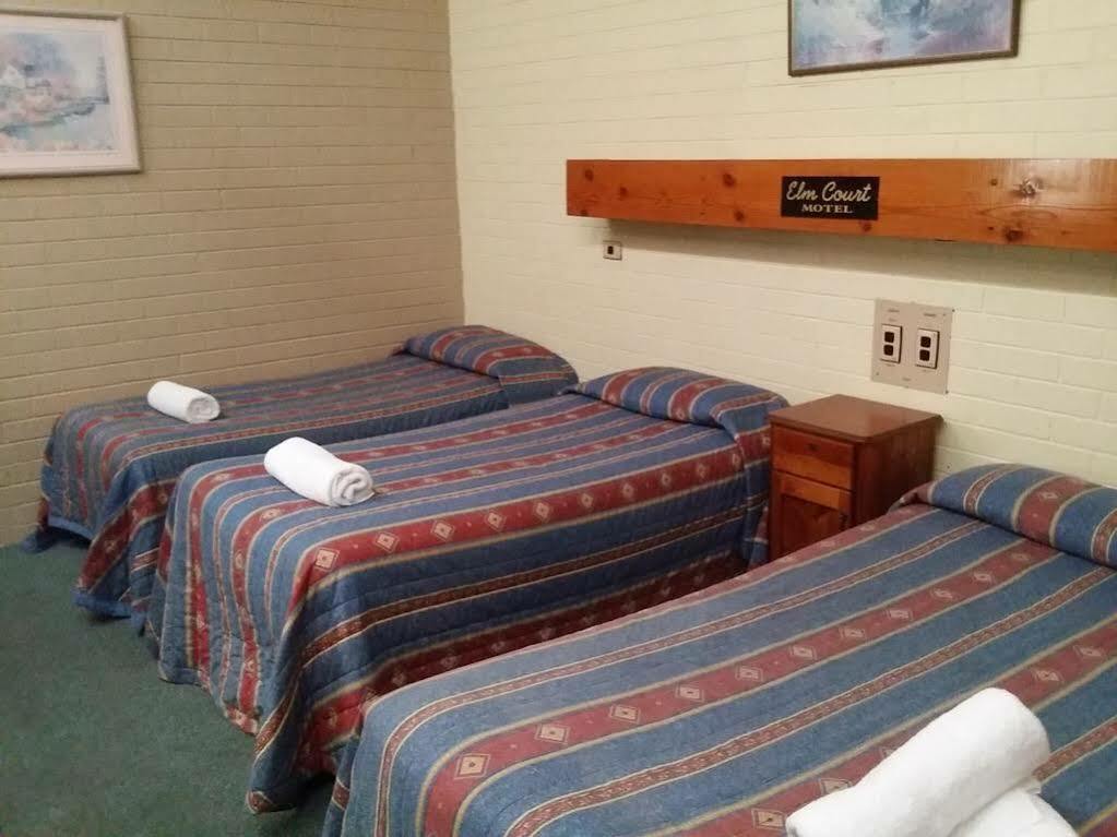 Elm Court Motel Άλμπουρι Εξωτερικό φωτογραφία